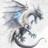 Dragon Birthday Card for Grandson