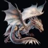 Dragon Birthday Card for Grandson