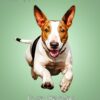 English Bull Terrier Dog Mothers Day Card For Mammy