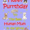 From The Cat Birthday Card (Lilac