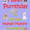 From The Cat Birthday Card (Lilac