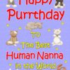 From The Cat Birthday Card (Lilac