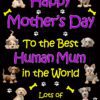 From The Dog Happy Mothers Day Card (Black