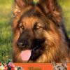 German Shepherd Mothers Day Card