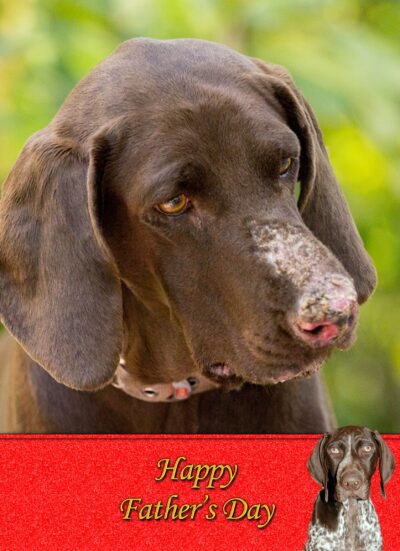 German Short Haired Pointer Fathers Day Card