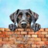 German Wirehaired Pointer Dog Art Square Fathers Day Card