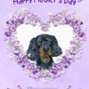Gordon Setter Dog Mothers Day Card (Happy Mothers
