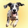 Greyhound Dog Fathers Day Card For Grandpa