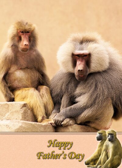 Monkey Fathers Day Card