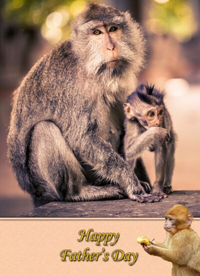 Monkey Fathers Day Card