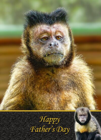 Monkey Fathers Day Card