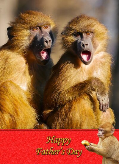 Monkey Fathers Day Card