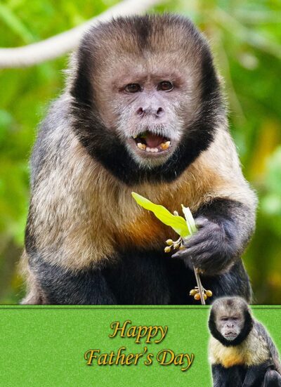 Monkey Fathers Day Card