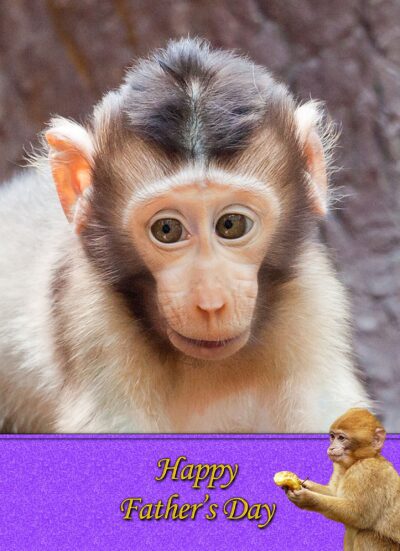 Monkey Fathers Day Card