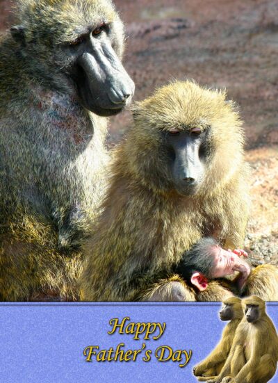 Monkey Fathers Day Card