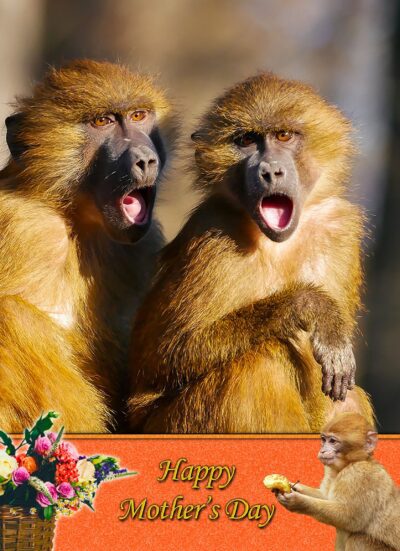 Monkey Mothers Day Card