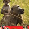 Monkey Mothers Day Card