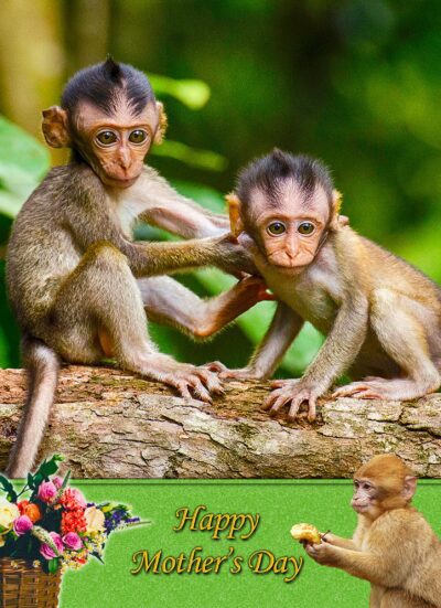 Monkey Mothers Day Card