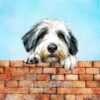Old English Sheepdog Dog Art Square Birthday Card