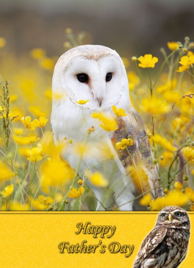 Owl Fathers Day Card