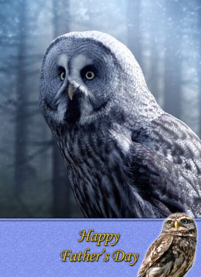 Owl Fathers Day Card