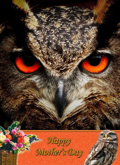Owl Mothers Day Card