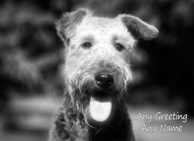 Personalised Airedale Black and White Art Greeting Card (Birthday