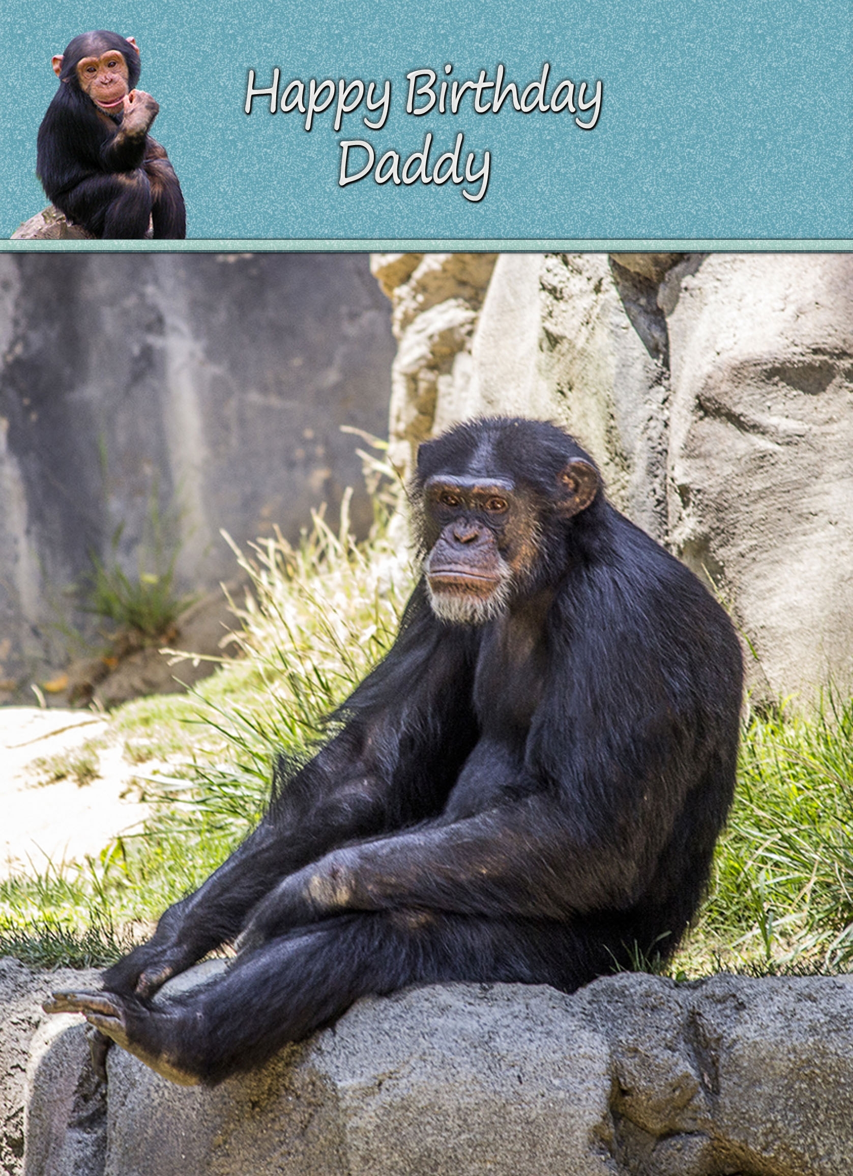 Personalised Chimpanzee Card - Personalised Chimpanzee Card 8 3 Personalised Chimpanzee Card