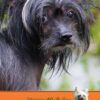 Personalised Chinese Crested Dog Card