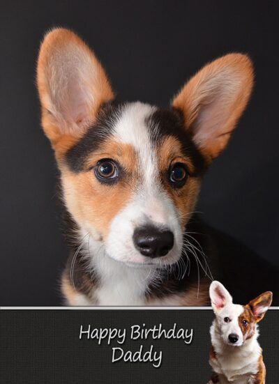 Personalised Corgi Card