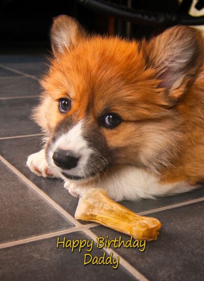 Personalised Corgi Card