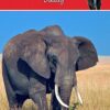 Personalised Elephant Card