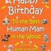 Personalised From The Dog Happy Birthday Card (Orange