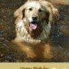 Personalised Golden Retriever Card