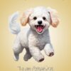 Poodle Dog Mothers Day Card For Mam