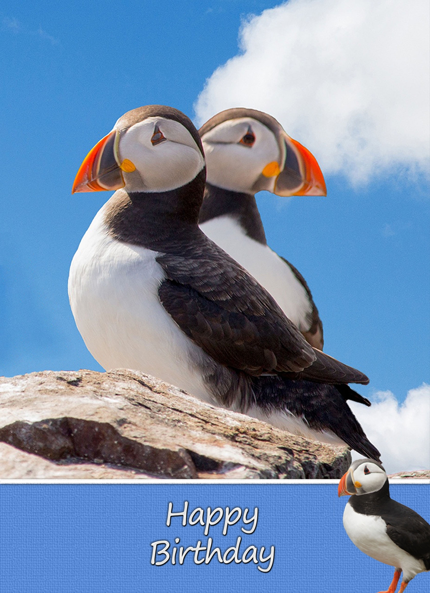 Puffin Birthday Card - Puffin Birthday Card 3 3 Puffin Birthday Card