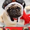 Pug Mothers Day Card