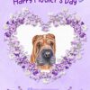 Shar Pei Dog Mothers Day Card (Happy Mothers