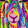 Sheep Animal Colourful Abstract Art Birthday Card