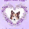 Shetland Sheepdog Dog Mothers Day Card (Happy Mothers