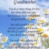 Special Grandmother Poem Verse Greeting Card