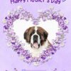 St Bernard Dog Mothers Day Card (Happy Mothers
