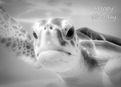 Turtle Black and White Art Birthday Card