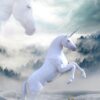 Unicorn Birthday Card
