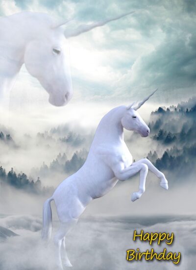 Unicorn Birthday Card