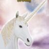 Unicorn Birthday Card