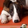 Whippet Birthday Card