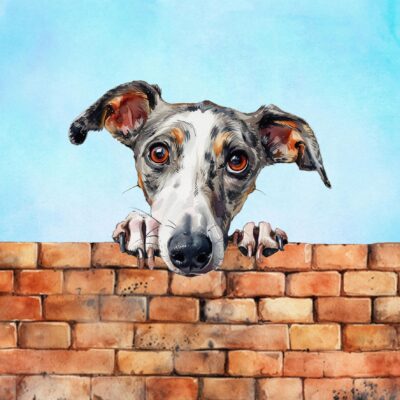 Whippet Dog Art Square Blank Greeting Card