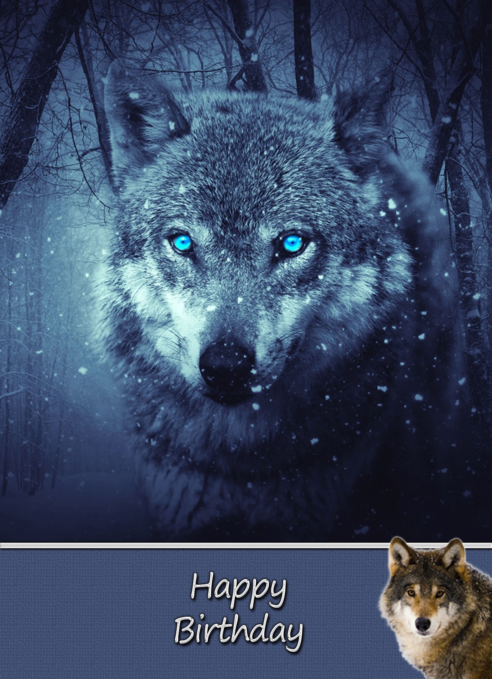 Wolf Birthday Card - Wolf Birthday Card 4 3 Wolf Birthday Card