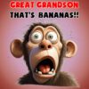 Great Grandson 10th Birthday Card (Funny Shocked Monkey Humour) - 10 1